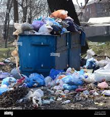 Professional Junk Removal Services in Mountainside, NJ